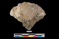 藏品(石英岩)的圖片